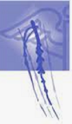The Rane Center Logo
